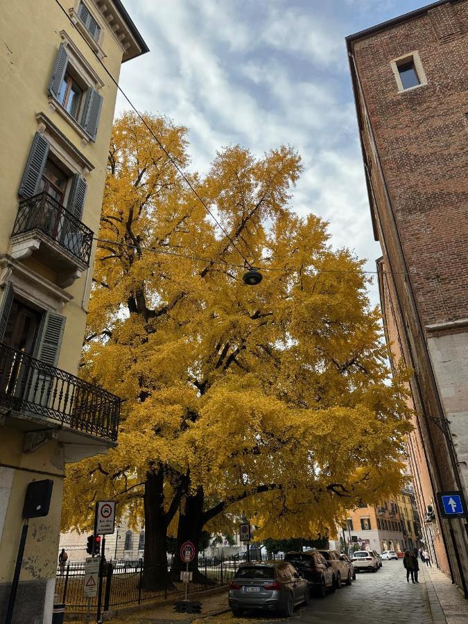 Domus Largo Pescheria Verona Ngoại thất bức ảnh