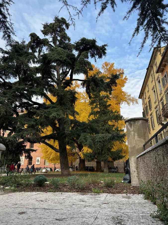 Domus Largo Pescheria Verona Ngoại thất bức ảnh