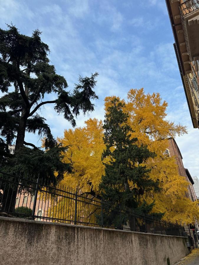 Domus Largo Pescheria Verona Ngoại thất bức ảnh